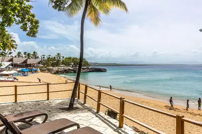 a beach with a palm tree and the ocean at 