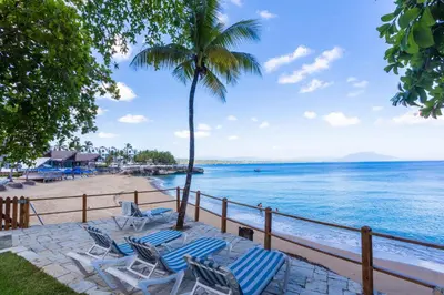 a beach with chairs and a palm tree and the ocean at 