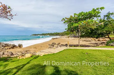 a view of a beach with trees and the ocean at 