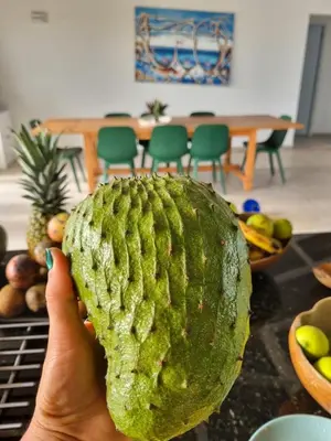 a person holding a large watermelon in their hand at Finca Jasmat in Cabrera