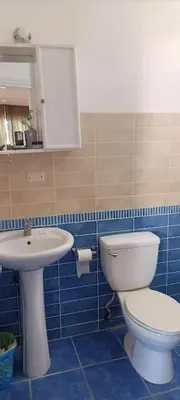 a bathroom with a white toilet and a sink at El Rinconcito Caribeño in La Laguna