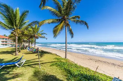 a beach with palm trees and chairs and the ocean at Victorian Condominium, Cabarete! in Cabarete