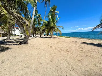 a sandy beach with palm trees and the ocean at Comodo apart de una hab Ideal para personas que están de viaje por trabajo in Guibia