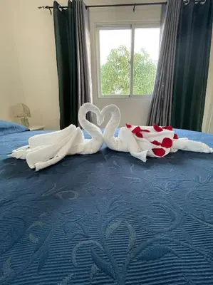 two swan towels sitting on top of a bed at Villa Vintage. in Boca Chica