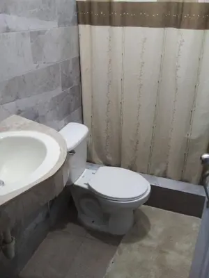 a bathroom with a toilet and a sink at Appart-hotel Veras Samana No-14 in Santa Bárbara de Samaná