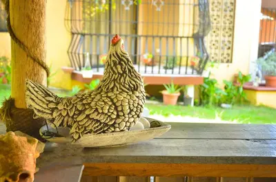 a chicken sitting in a bowl on a table at Refugio Encantador in Santo Domingo