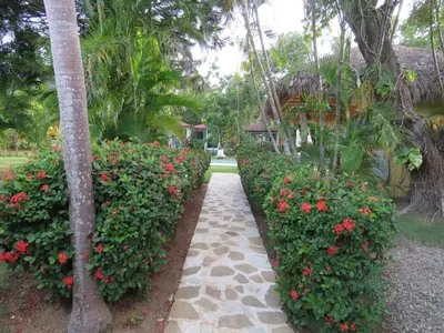 a garden with red flowers and a walkway at Bungalow Natura Village in Sosúa