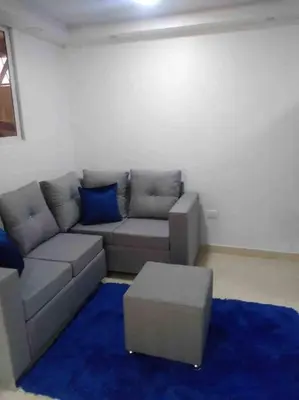 a living room with a couch and a blue rug at Alojamiento paulino in Santiago de los Caballeros