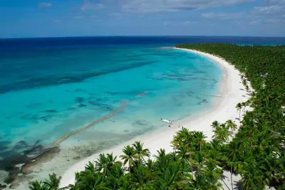 an aerial view of a beach with palm trees at Casa Vacanze Dume in Bayahibe