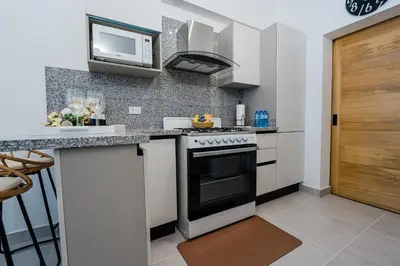 a kitchen with a stove and a microwave at Stunning view of the city. in Santo Domingo