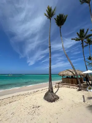 two palm trees on a beach with the ocean at Casa Mulata Paseo del Mar Pool & Playa in Punta Cana