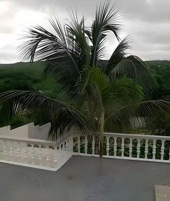 a palm tree sitting on top of a white fence at Apart hotel Costa Verde Exclusivo y Seguro #5 con cama Queen in Las Galeras