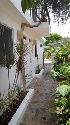a courtyard of a white house with plants at NEW MORINGA in Las Terrenas
