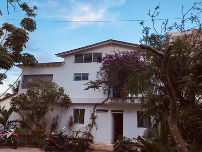 a white house with trees in front of it at NEW MORINGA in Las Terrenas