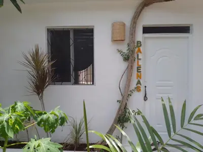 a white house with plants in front of a door at NEW MORINGA in Las Terrenas