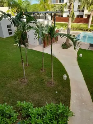 a group of palm trees in a yard next to a pool at Casa Larimar 214 - Vibe Residence in La Laguna