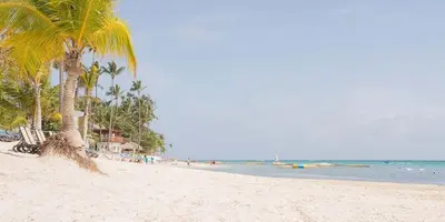 a sandy beach with palm trees and the ocean at A pasos de la playa cerca de bares y restaurantes in Punta Cana