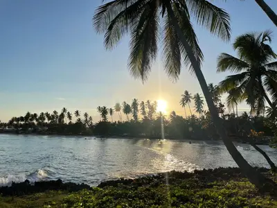 a view of a beach with palm trees and the sunset at Our Cozy Home, Wi-Fi, AC, Parking, Near Beaches and Attractions in quiet area in Nagua