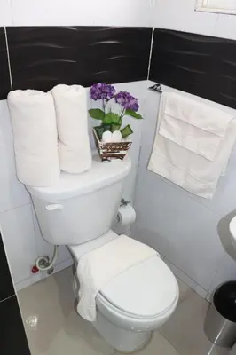 a bathroom with a toilet with towels and flowers at Hotel Merey in Santo Domingo