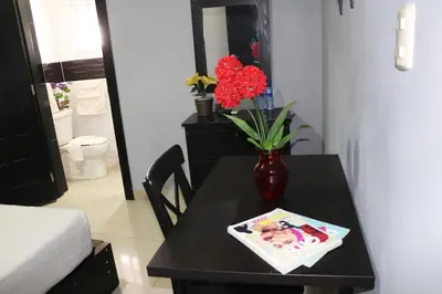 a black table with a vase with red flowers on it at Hotel Merey in Santo Domingo