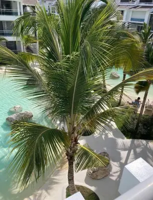a palm tree on a beach next to a pool at Luxury Apartment Dominicus in La Laguna