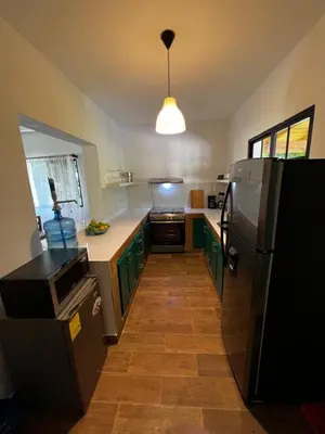 a kitchen with green cabinets and a refrigerator at Villa unter Palmen in Jarabacoa