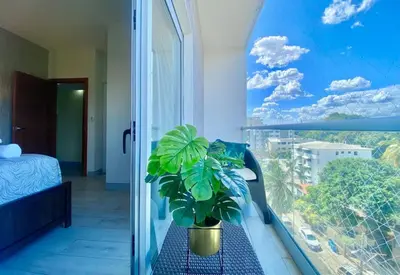 a plant sitting on a bench in a room with a window at Cozy City Center Condo, Full AC in Los Prados