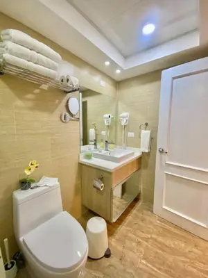 a bathroom with a toilet and a sink and a mirror at Lovely Sto Dgo Center Apt in Santo Domingo