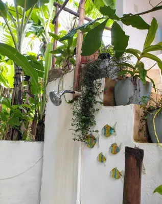 a group of butterflies on a wall with plants at Quédate Aquí in Las Galeras