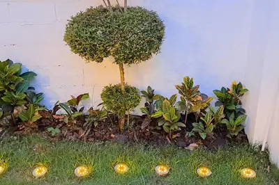 a garden with a small tree and some plants at Deluxe villa with jacuzzi and beautiful garden in Santiago de los Caballeros