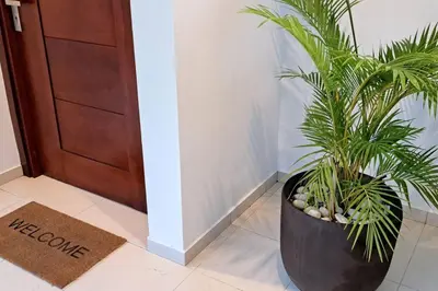 a plant in a black pot next to a door at Deluxe villa with jacuzzi and beautiful garden in Santiago de los Caballeros