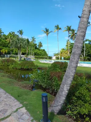 a rope wrapped around a palm tree in a park at Bonita Village Beachfront Apt with Pool & Balcony in Las Terrenas