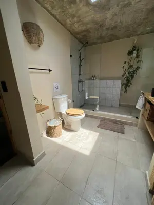 a bathroom with a toilet and a shower in it at CASAS LEON Casita de playa #2 in Santa Bárbara de Samaná