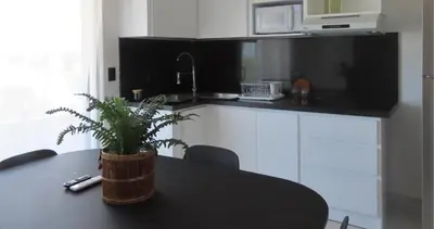 a kitchen with a table with a potted plant on it at All Seasons Hotel in Bayahibe