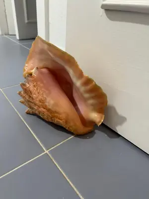 a glazed donut sitting on top of a counter at EL TOUCAN, Apartament in bayahibe in Bayahibe