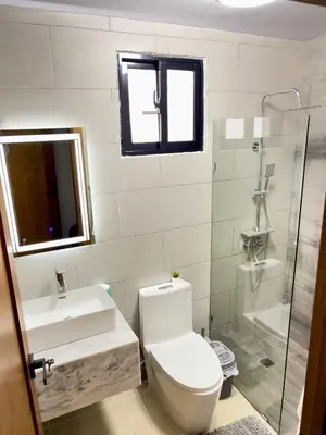 a bathroom with a toilet and a sink and a shower at Torre Solarium next to PUCMM in Santiago de los Caballeros