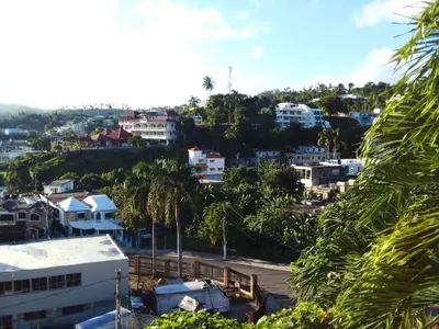 a view of a city with palm trees and buildings at The Beauty of samana in Santa Bárbara de Samaná