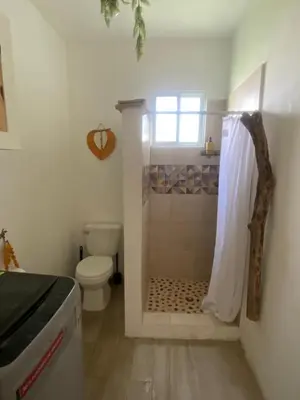a bathroom with a shower with a toilet and a window at Portitxol, fantástico apartamento in Bayahibe