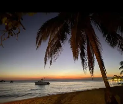 a boat in the ocean with a palm tree at Chelsie 402 in Bayahibe