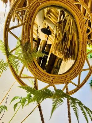 a mirror hanging on a wall next to a palm tree at Villa Clarissa No. 8 in Las Terrenas