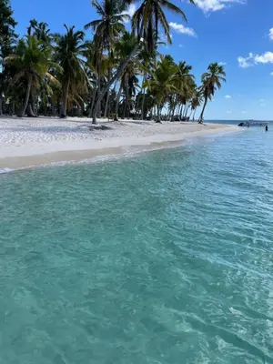 a beach with palm trees and turquoise water at Dominicus Castillo Paradise in La Laguna