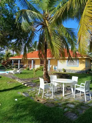 a table and chairs sitting under a palm tree at Mangobich in Punta Balandra