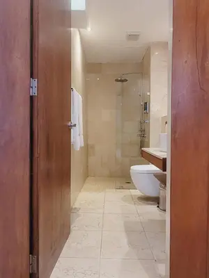 a bathroom with a toilet and a sink at Heritage Residences Signature Collection in Santo Domingo