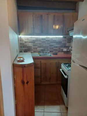 a small kitchen with wooden cabinets and a sink at Doña Mayra Aparta Hotel, Rustico in Las Terrenas