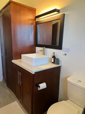 a bathroom with a sink and a toilet at Catalina, Cabrera Oceanview Multi 2 BD 2 Bath Condo Units with Balcony and Pool in Caño Seco