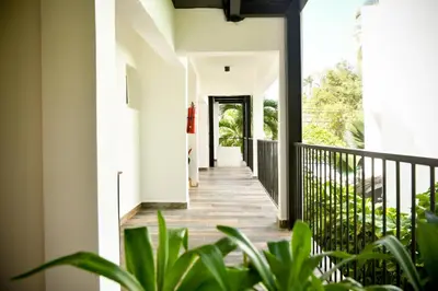 a hallway of a house with plants at Honky Tonk Punta Cana in Punta Cana
