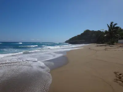 a beach with the ocean and palm trees at Garden By The Sea in Sosúa