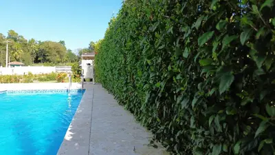 a hedge is next to a swimming pool at Modern 3 Bedroom Penthouse Apartment with Free Parking in San Felipe de Puerto Plata