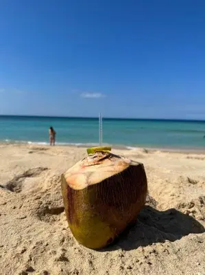 a coconut sitting on the sand on a beach at Casita Yanella in Cabrera