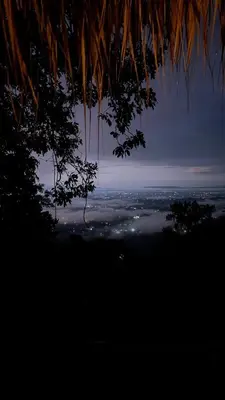 a view of a city from under a tree at night at NOMAD Domes Sky Watching at Jarabacoa in Jarabacoa